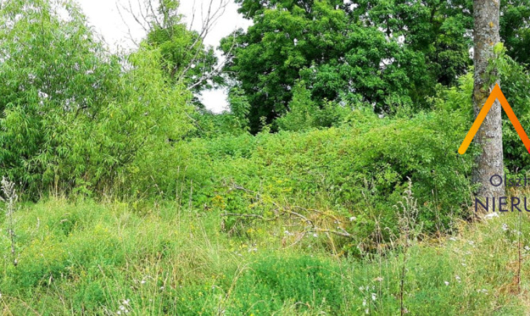 Działka na mazurach, Bogaczewo/Kozin